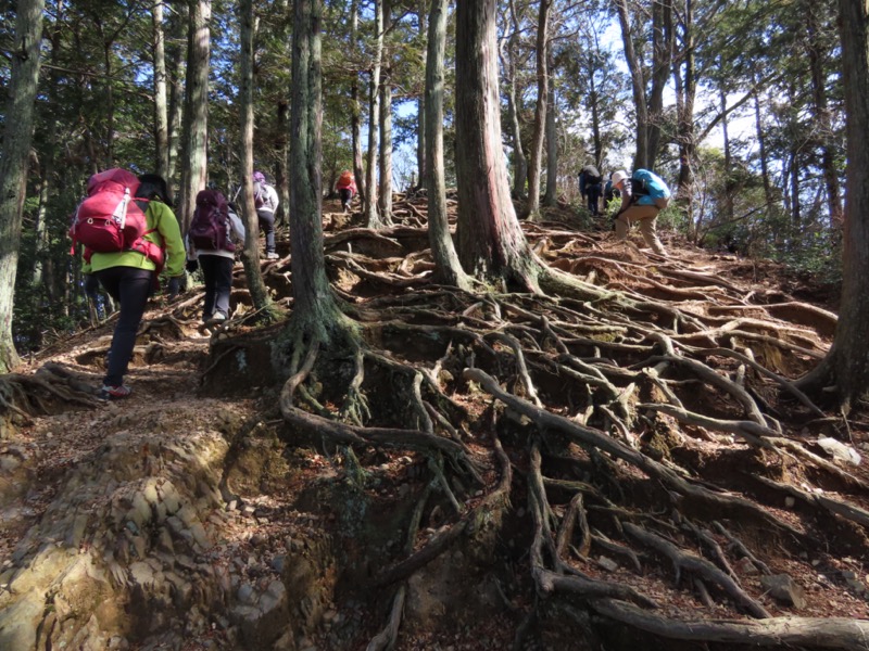 日和田山、物見山